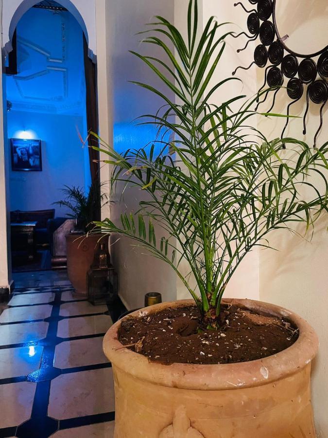 Riad ms holiday’s privatisé 8 personnes - avec terrasse Marrakesh Exterior foto
