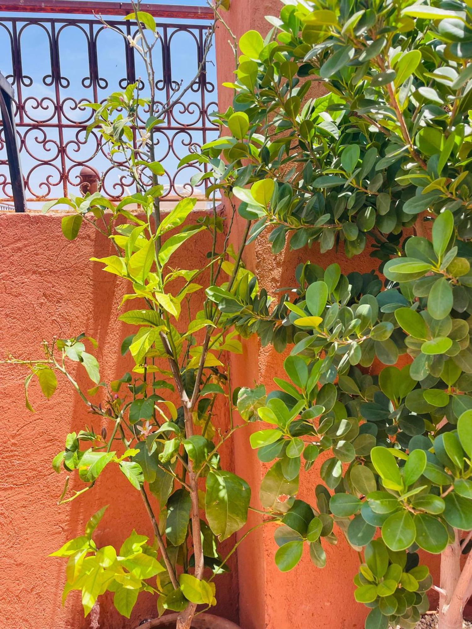 Riad ms holiday’s privatisé 8 personnes - avec terrasse Marrakesh Exterior foto